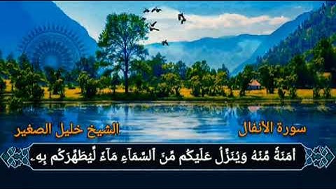 الشيخ خليل الصغير ما تيسر من سورة الأنفال