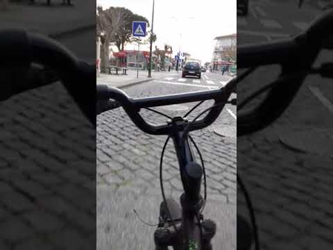 Passear na Vieira de Leiria