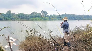 Trải Nghiệm Bãi Câu Cá Sông Đồng Nai #2, Hôm Nay Đập Trị An Xả Lũ Cá Ăn Mạnh Kéo Mỏi Tay Cả Nhà Ơi