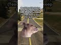 Anybody else do this while playing GTA? 😂 #gtavonline #gta5gaming #gameryoutube #moppcrew