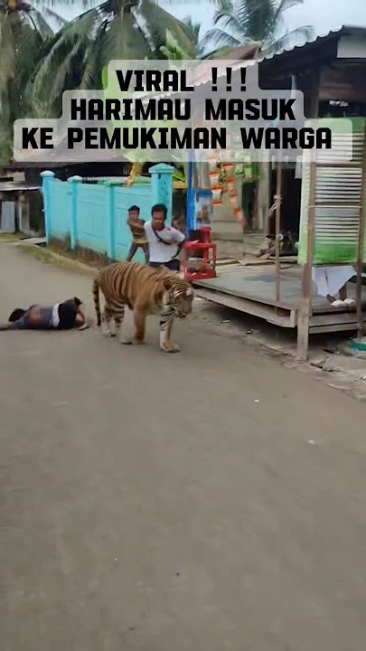 Tiger Walks Into Village — AI Realistic Wildlife Video #videoviral #tiger #wildlife #animals #funny