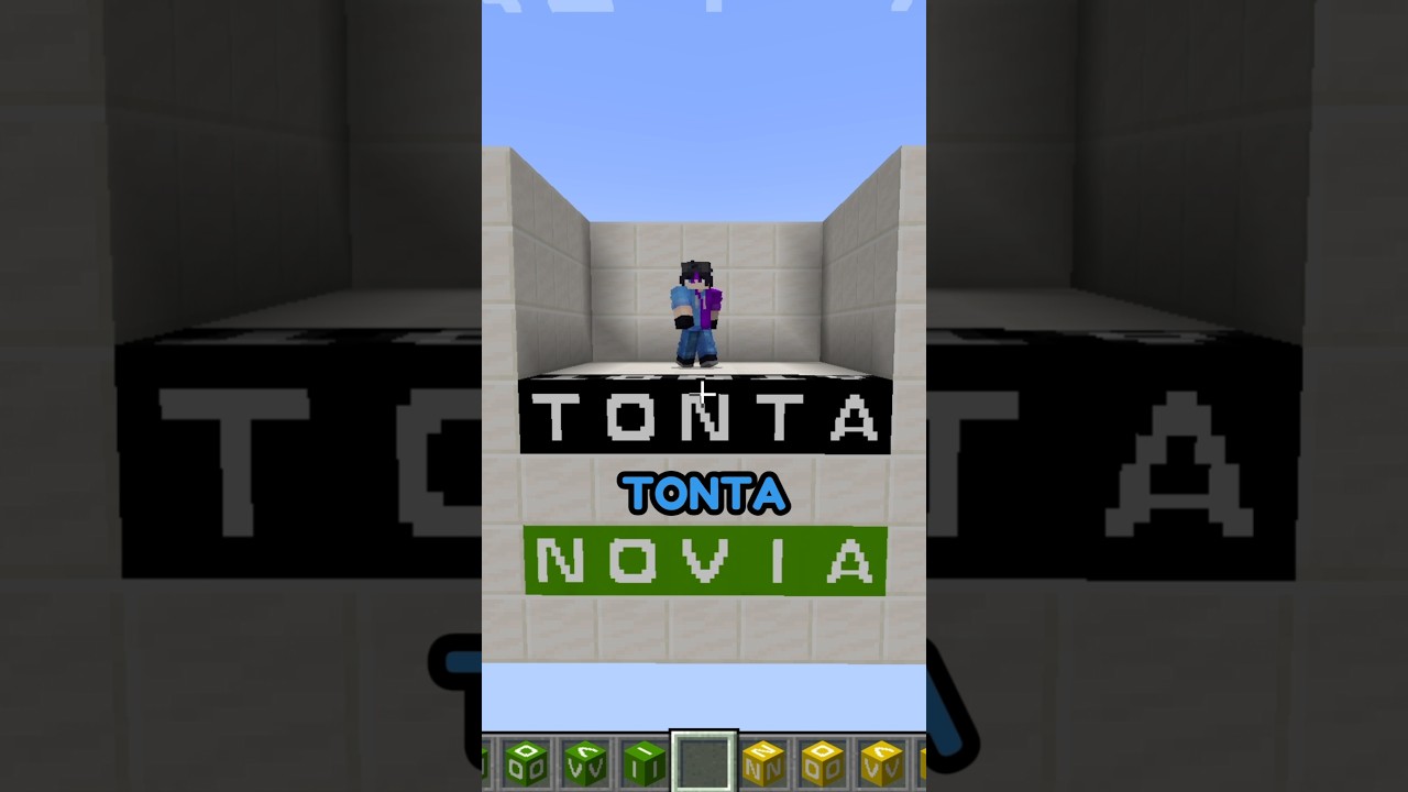 NABI ME DIJO TONTA 😡 #minecraft #shorts #celynnei #nabi #celycraft #minecraftespañol