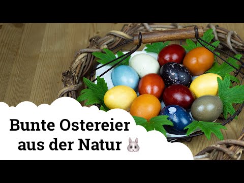 Video: Was sind gute Ostereierfüller?