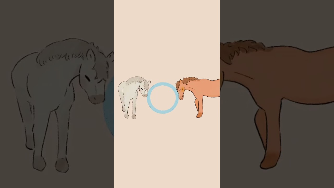 A horse hug delivery! ✨️ 