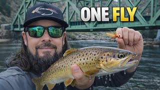 I Tied My BEST Fly… It CRUSHED Browns at Stonefly Bridge