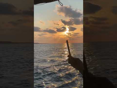 روح البحر اللاذقية سوريا جنة الله نبض القلب عشقي سوريا