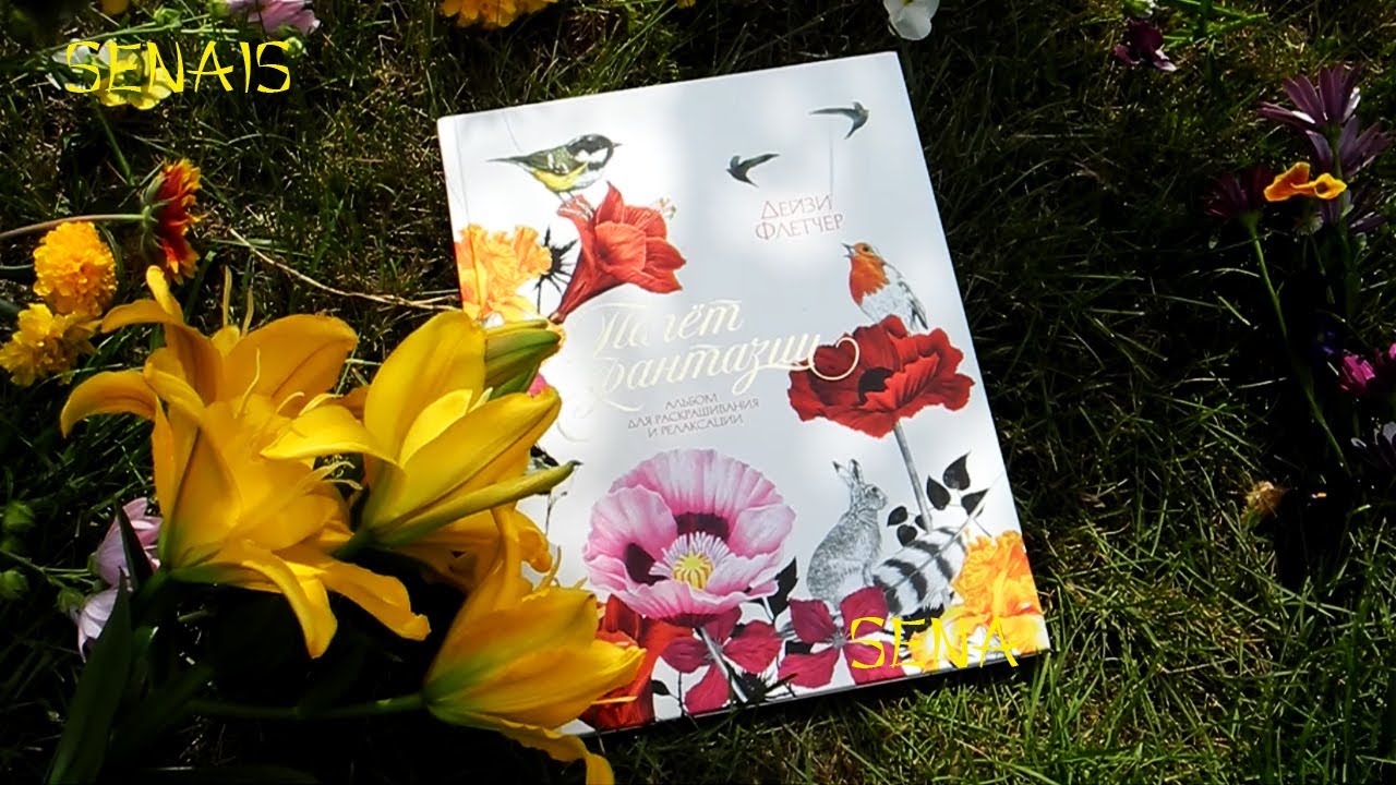 РЕЛАКС раскраска ПОЛЁТ ФАНТАЗИИ от ДЕЙЗИ ФЛЕТЧЕР Birdtopia Coloring Book / летний ОБЗОР раскраски
