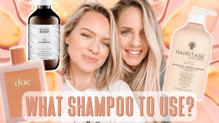 EVERYTHING you need to know about Shampoo and Conditioner  Kayley Melissa