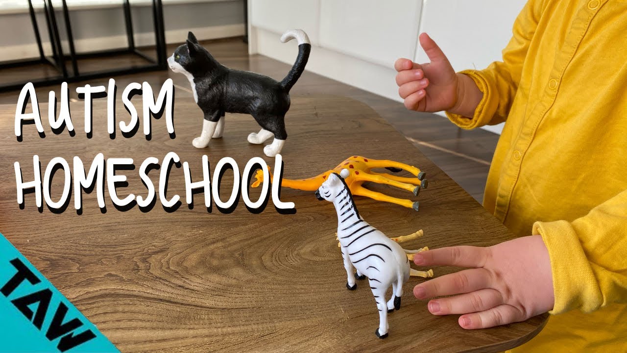 Homeschool Autism 10 ESSENTIAL Learning Ideas (YOU NEED!) YouTube