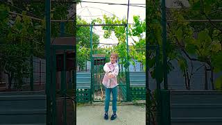 #shortvideo #dance #глобальныерекомендации #pets #рек #funny #youtube #love #cute #моякошка