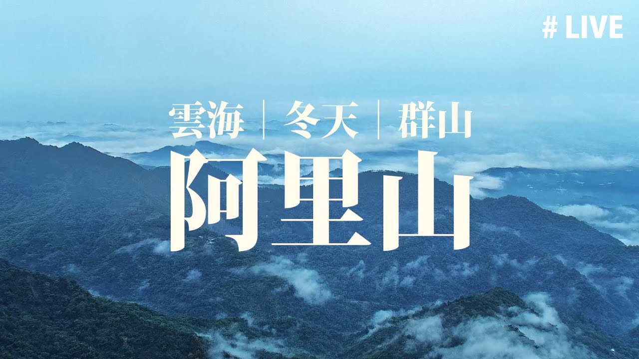 公視live直播 療癒雲海 阿里山二延平步道 Alishan Eryanping Trail 療癒 放鬆 Taiwan Live Cam 畫面提供 阿里山風管處 Youtube
