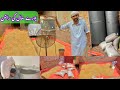 How To Store Wheat At Home 🏠 Gandum Ghar Mein Mehfooz  Rakhny Ka Tareeqa Fully Processes