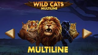 Wild Cats Multiline Big Win - A Game By Red Tiger Gaming.