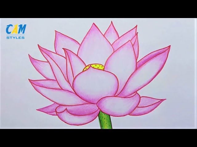 Lotus Flower - How To Draw A Lotus Flower For Beginners - Youtube