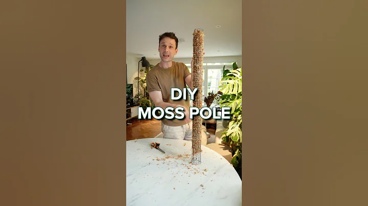 Super easy way of making your own Moss Poles. Check out my channel for more tutorials :) #mosspole