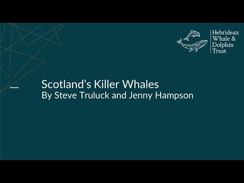 Scotland&rsquo;s Killer Whales