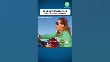 Cuộc chạm trán bất ngờ giữa cá voi và ngư dân#shorts #khampha #danhbatca