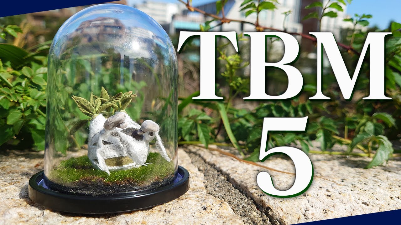 盆栽 爺さん流の作り方】イワヒバ 石付け・豆盆栽 家にある物で