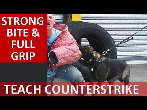 Onlayn porno ichidagi konturni tomosha qiling