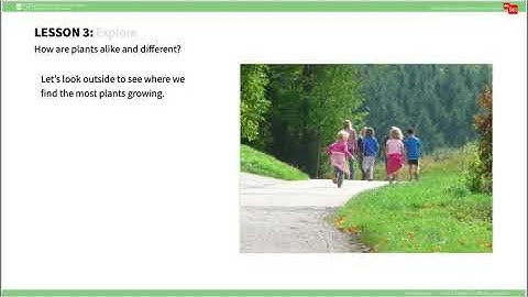 mySci 6 0 U1L3 Summary