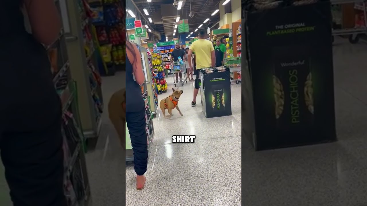 Racist Guy Learns His Lesson Shorts