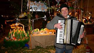 Video thumbnail of "Christmas Medley for Accordion (HD) - played by Theo Degler"