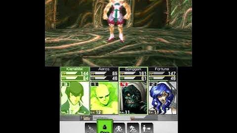 SMT IV - Kin-Ki (Low Level*, Master Difficulty, NG+)
