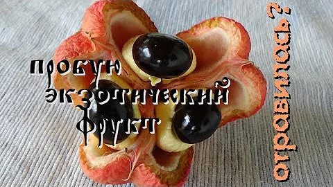 Аки/Akee/Пробую ядовитый фрукт/ Отравилась?😱