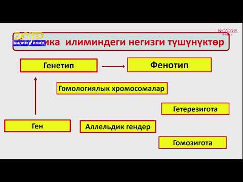 Video: Эмгектеги тукум куучулук деген эмне?