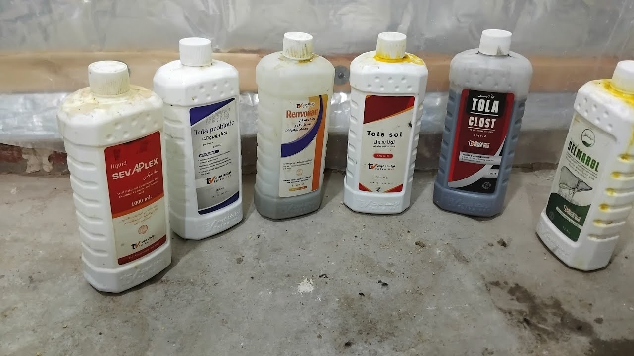 الأدوية الأساسية في عمبر الفراخ كبير او منزلي عشان تكسب صح