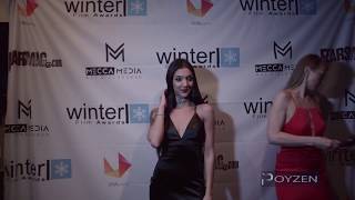 2018 Winter Film Awards - Preview