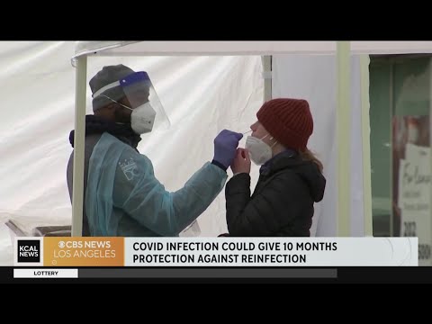 Video: Ar gali užsikrėsti koronavirusu kelis mėnesius?