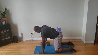 Quadruped Dumbbell Row
