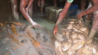 মাছের আনন্দে আনন্দিত সুন্দরবনের জেলেরা | Fish Catching BD | Adventure BD screenshot 3