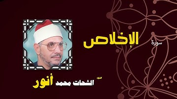 القران الكريم بصوت الشيخ الشحات محمد انور| سورة الإخلاص
