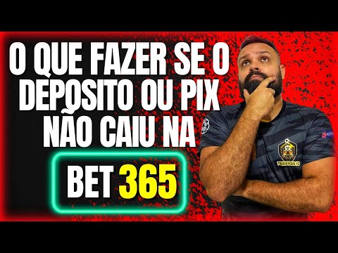 Verificações Imediatas Antes de Contactar o Suporte
