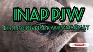 inap _ pjw