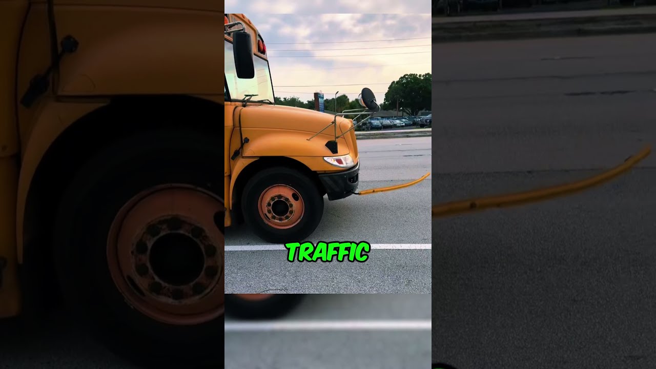 School Bus Vs City What S The Real Difference Shorts