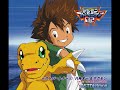 Yagami Taichi & Agumon - Team