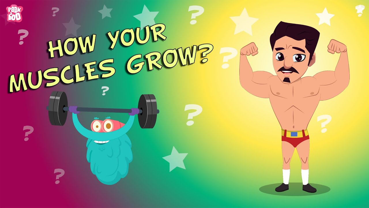How your Muscles Grow    The Dr Binocs Show  BEST LEARNING VIDEOS For Kids  Peekaboo Kidz