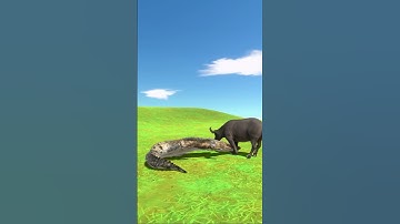 Tiny Terror vs. Massive Might: The Scorpion and the Buffalo Face Off!