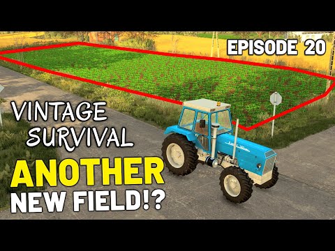 Another New Field!!! - Vintage Survival | Episode 20