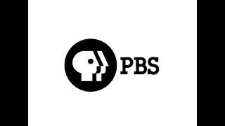 Pbs Logo 1984 To 1998 Transition Variant Fan-Made
