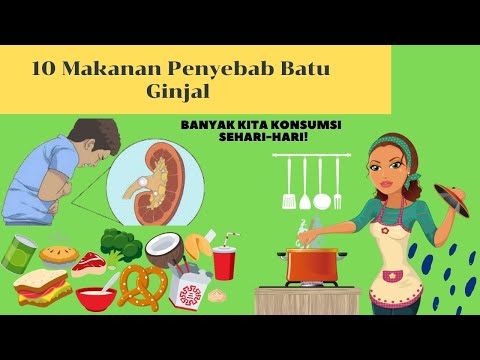 Video: Dari manakah datangnya kalsium oksalat?