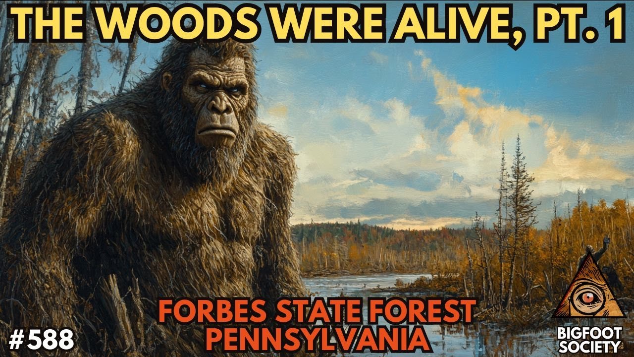 The Woods Were Alive, Pt. 1 | Bigfoot Society 588 The Woods Were Alive, Pt. 1 | Bigfoot Society 588
