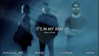 In My Arms - ILLENIUM, HAYLA, Wooli (Remix Collab) | Credit: Douglas_nfe