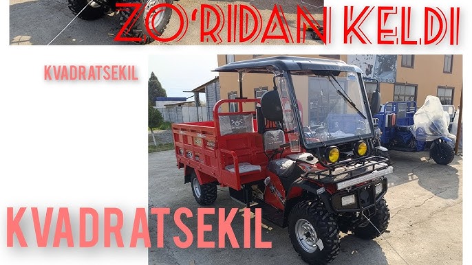 Yalangoch ayol mushuklarning erotik fotosuratlari xxx foto toplamlari