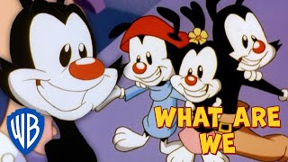 Animaniacs Sing-Along What Are We? Wb Kids