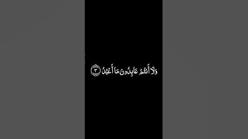 سورة الكافرون شاشة سوداء للشيخ محمود البنا ❤️❤️