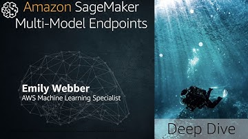 Deploy Multiple ML Models on a Single Endpoint Using Multi-model Endpoints on Amazon SageMaker